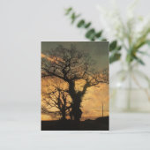 Tree Silhouette-foto Briefkaart (Staand voorkant)