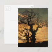 Tree Silhouette-foto Briefkaart (Voorkant / Achterkant)