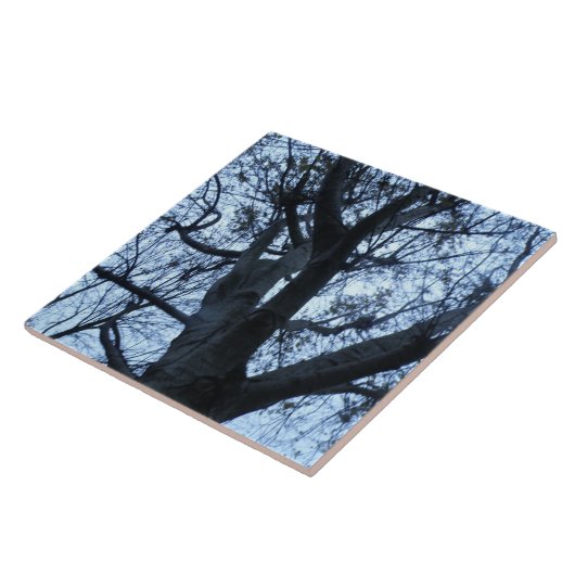 Tree Silhouette-fotograaftegel Tegeltje (Zijkant)
