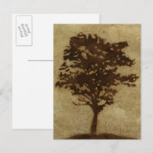 Tree Silhouette on Bronze Background Briefkaart (Voorkant / Achterkant)