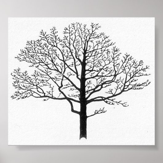Tree Silhouette Poster (Voorkant)