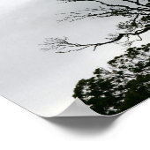 Tree Silhouette Powerscourt Gardens Fotografie Poster (Hoek)