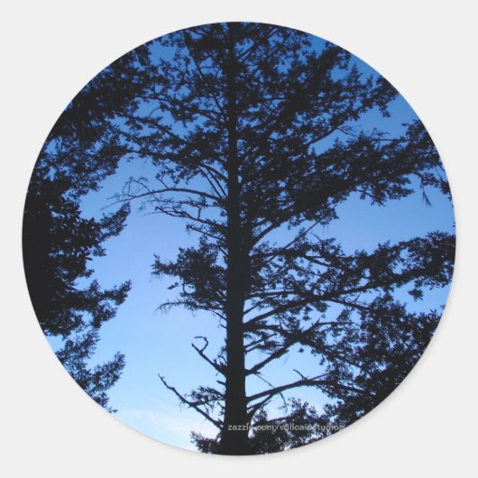 Tree Silhouette Ronde Sticker (Voorkant)
