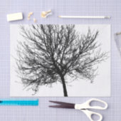 Tree Silhouette Tissuepapier (Craft)
