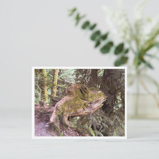 Tree stump briefkaart (Staand voorkant)