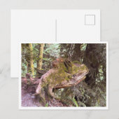 Tree stump briefkaart (Voorkant / Achterkant)