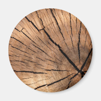 TREE STUMP MAGNEET
