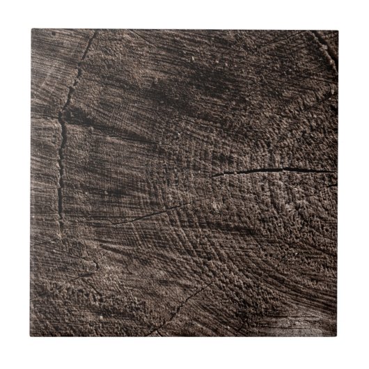 Tree Stump Tegeltje (Voorkant)