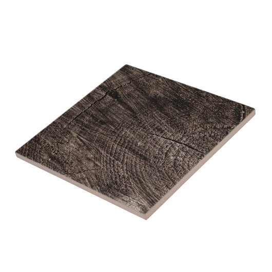 Tree Stump Tegeltje (Zijkant)