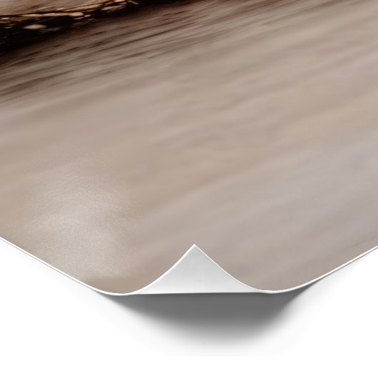 Tree Sunset Glow Perfect Poster (Hoek)