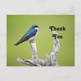 Tree Swallow Dank u Briefkaart