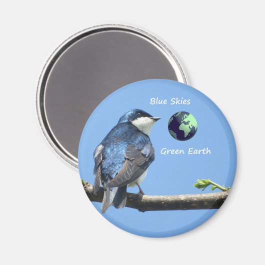 Tree Swallow Ecology magnet (Voorkant / Achterkant)