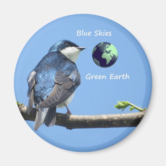 Tree Swallow Ecology magnet (Voorkant)