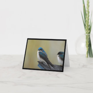 Tree Swallow Note Card Kaart