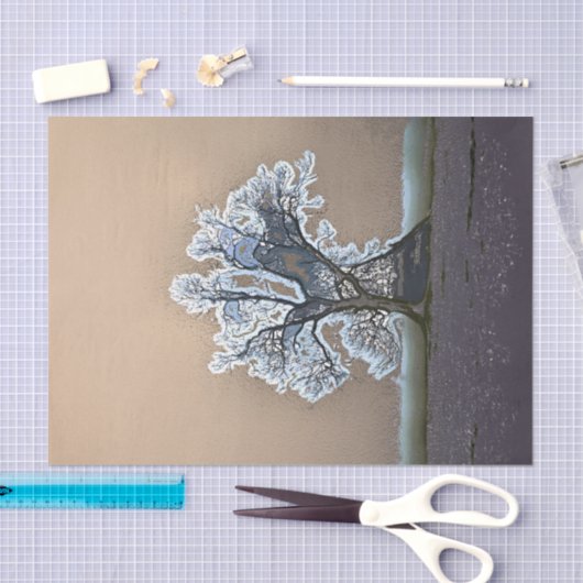 TREE TISSUEPAPIER (Craft)