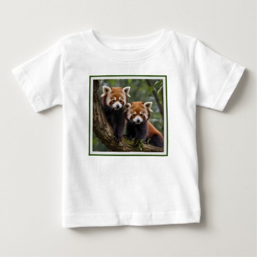 Tree-top Explorers: Baby Red Panda's Uitkijken (Voorkant)