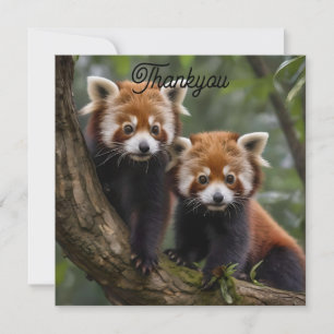 Tree-top Explorers: Baby Red Panda's Uitkijken Bedankkaart