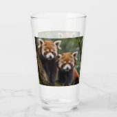 Tree-top Explorers: Baby Red Panda's Uitkijken Glas (Achterkant)