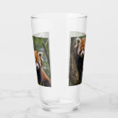 Tree-top Explorers: Baby Red Panda's Uitkijken Glas (Rechts)