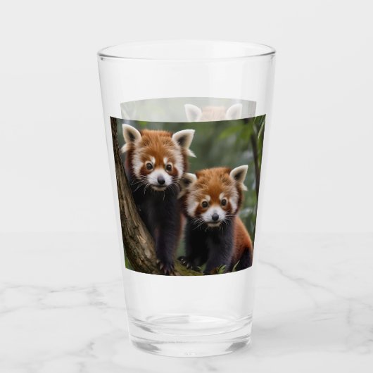 Tree-top Explorers: Baby Red Panda's Uitkijken Glas (Voorkant)