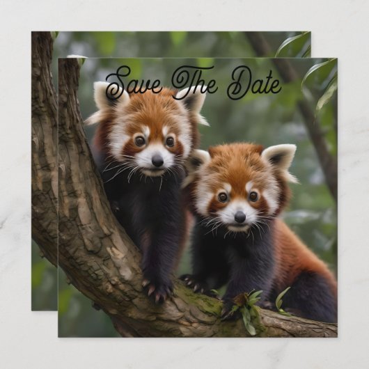 Tree-top Explorers: Baby Red Panda's Uitkijken Save The Date (Voorkant / Achterkant)