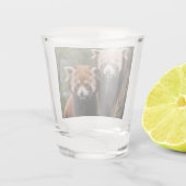 Tree-top Explorers: Baby Red Panda's Uitkijken Shot Glas (Achterkant)