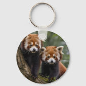 Tree-top Explorers: Baby Red Panda's Uitkijken Sleutelhanger (Voorkant)