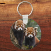 Tree-top Explorers: Baby Red Panda's Uitkijken Sleutelhanger (Voorkant)