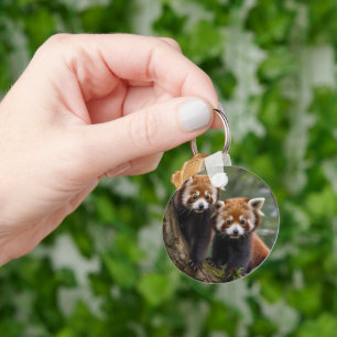 Tree-top Explorers: Baby Red Panda's Uitkijken Sleutelhanger