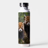 Tree-top Explorers: Baby Red Panda's Uitkijken Waterfles (Links)
