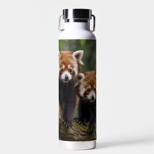 Tree-top Explorers: Baby Red Panda's Uitkijken Waterfles (Voorkant)