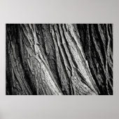 Tree tree bark tribe wood poster (Voorkant)