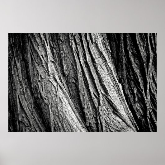 Tree tree bark tribe wood poster (Voorkant)