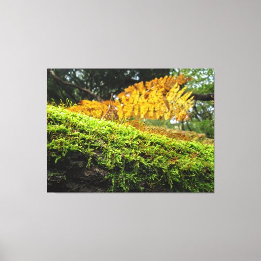 Tree Trunk in Lush Moss - Canvas Afdruk (Voorkant)