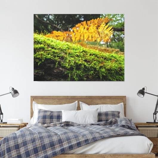 Tree Trunk in Lush Moss - Canvas Afdruk (Insitu (Slaapkamer))