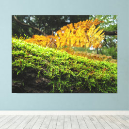 Tree Trunk in Lush Moss - Canvas Afdruk