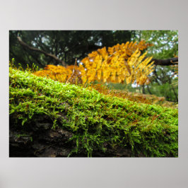 Tree Trunk in Lush Moss - Personalised Poster