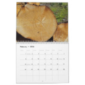 Tree trunks uprooted - dead - felled kalender (Feb 2026)