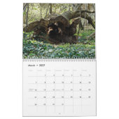 Tree trunks uprooted - dead - felled kalender (Mar 2027)