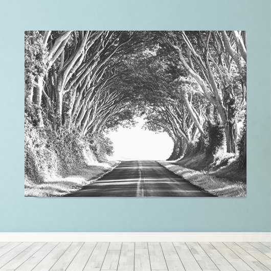 Tree Tunnel Kauai Fotografie Zwart-wit Canvas Afdruk (Insitu (Houten vloer))