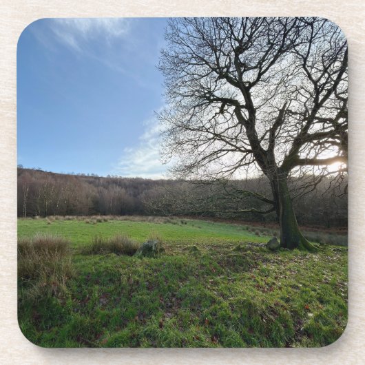 Tree view.. bier onderzetter (Voorkant)