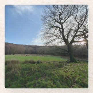 Tree view.. glazen onderzetter