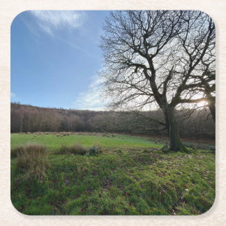 Tree view.. kartonnen onderzetters