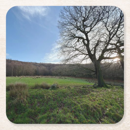 Tree view.. kartonnen onderzetters (Voorkant)