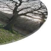 Tree view.. snijplank (Hoek)