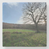 Tree view.. stenen onderzetter (Voorkant)