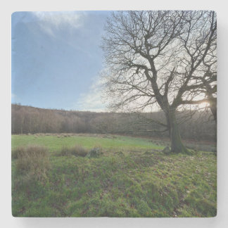 Tree view.. stenen onderzetter