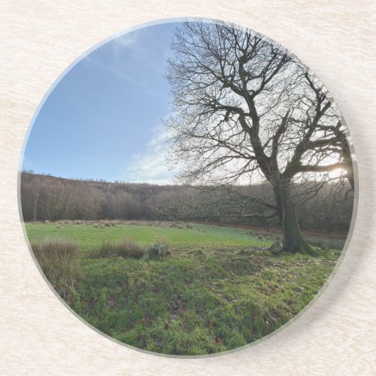 Tree view.. zandsteen onderzetter (Voorkant)