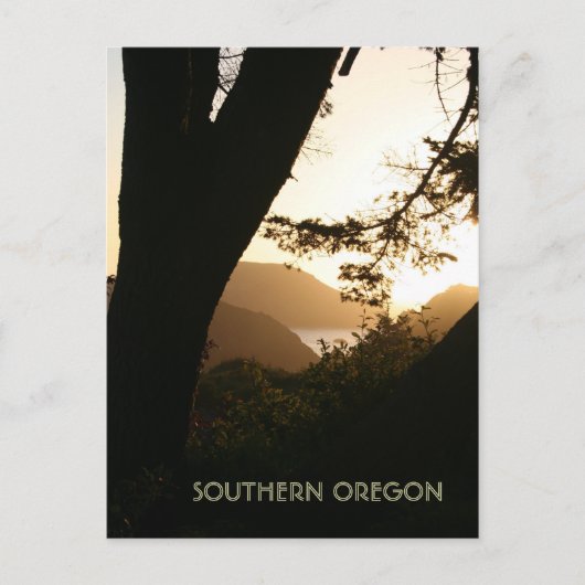 Tree with a view briefkaart (Voorkant)