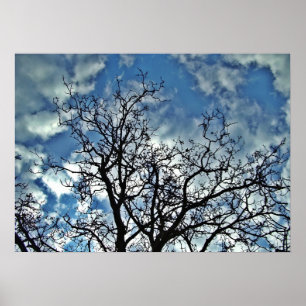 Treedt een dramatisch poster aan de hemel